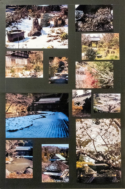 小嶋