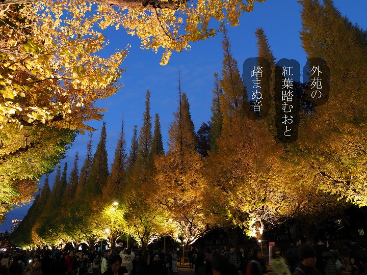加藤