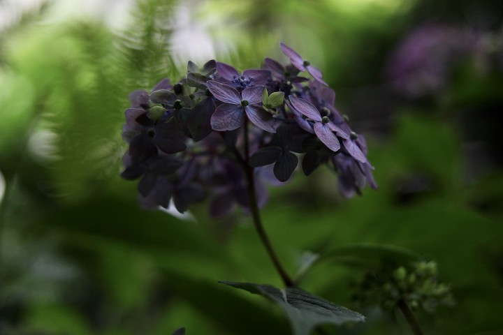 福山