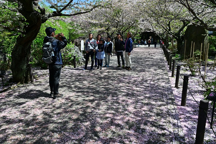 柳川