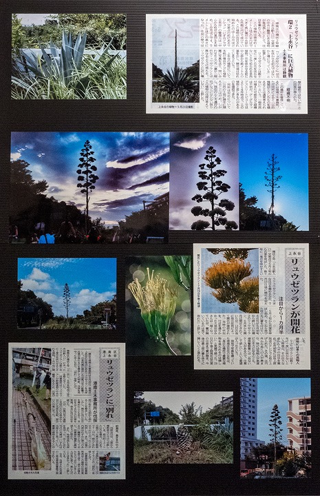 特別