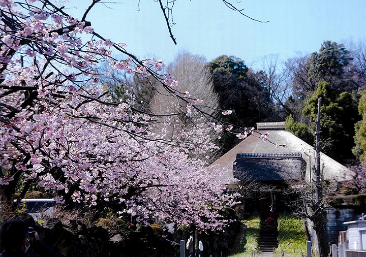 小嶋