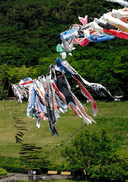 脇野