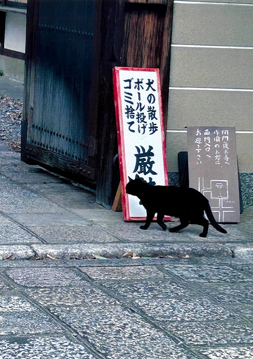 柳下