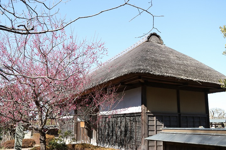 松尾