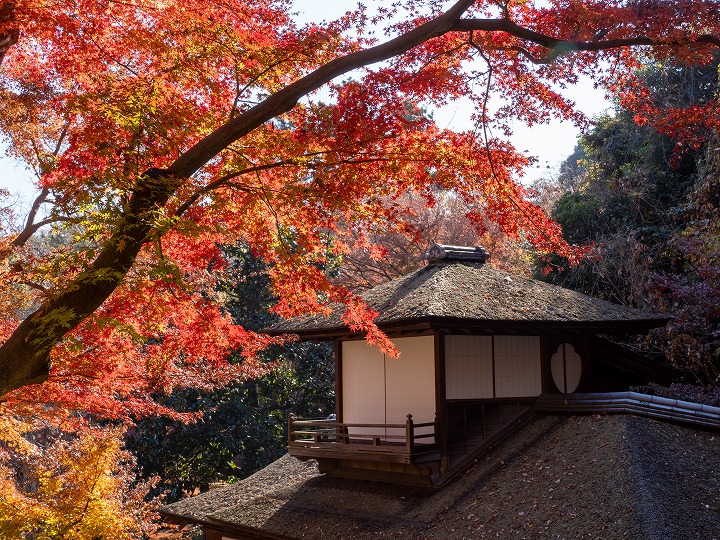 三渓園