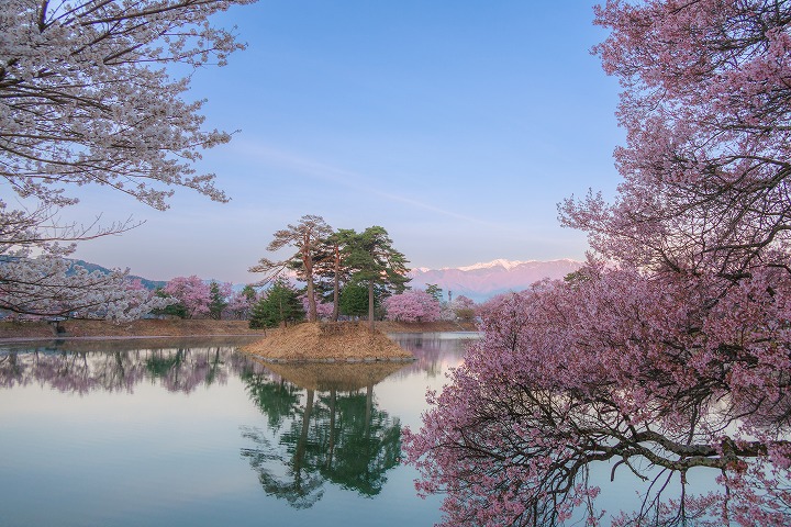 沼尾