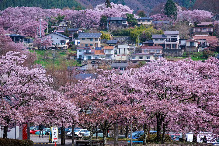 沼尾