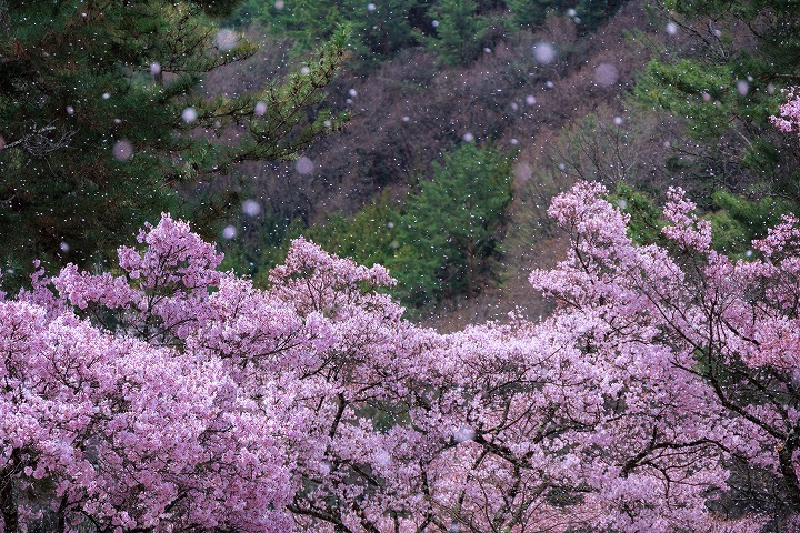 沼尾