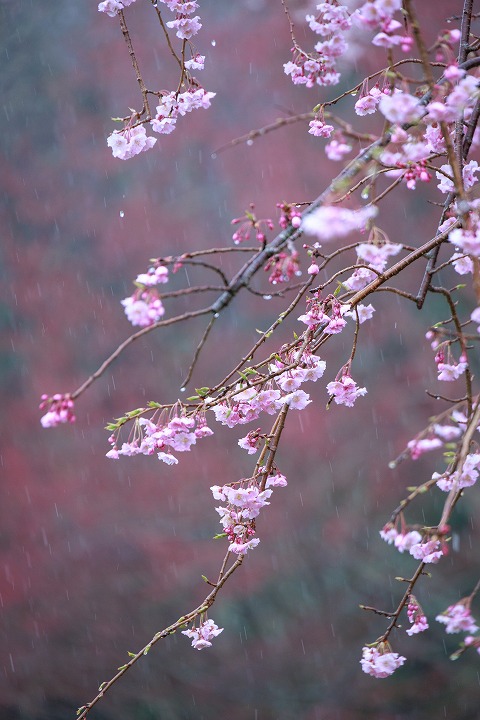 沼尾